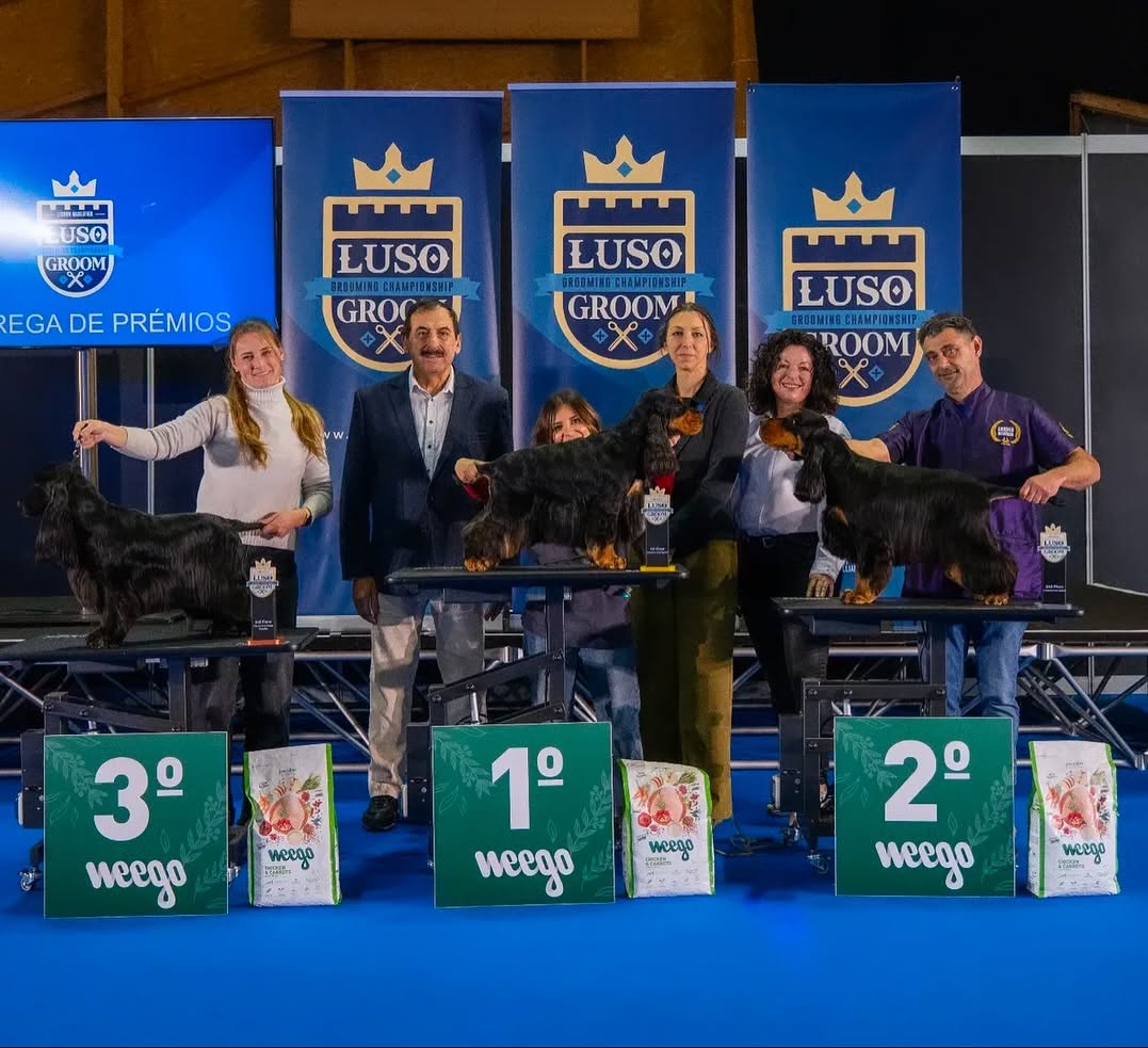 Jennifer Rodríguez en una competición internacional de estilismo canino