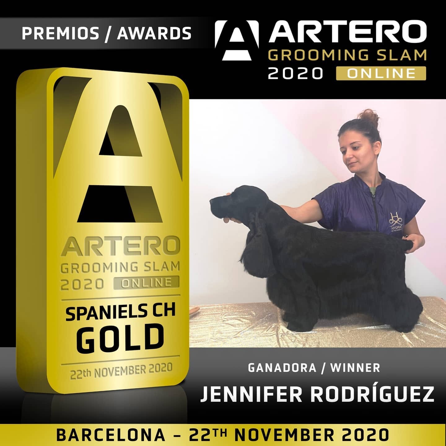 Cartel de ganadora Gold en Spaniels CH del Artero Grooming Slam 2020