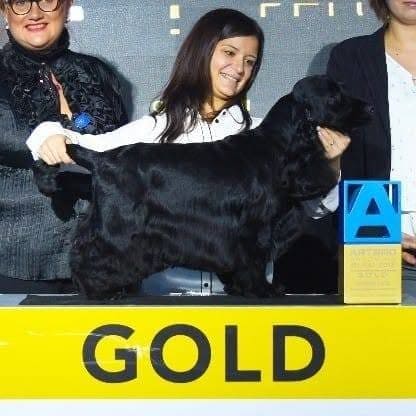 Jennifer Rodríguez con su cocker spaniel y el premio Gold de Artero