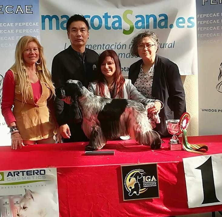Podio de la competición de Marbella 2017