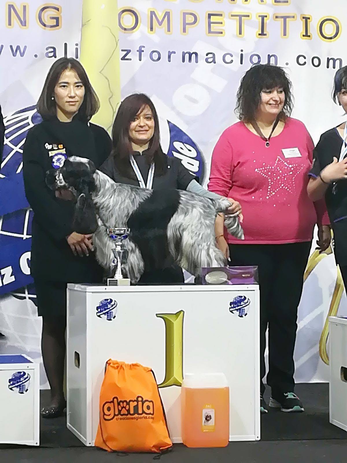 Oro en la competición Artero de 2018